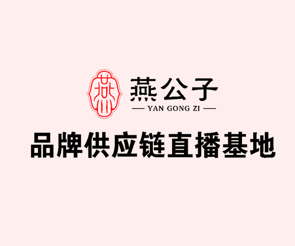 公(gōng)司簡介